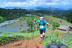 BIB: 
                            <button type="button" onclick="openModal(13380346)" class="btn btn-primary btn-sm float-right btn-popup" data-toggle="modal" data-target=".modal-high-quality">
                        <i class="fas fa-shopping-cart"></i> Add to Cart
                    </button>
                                            <button type="button" onclick="isThisMe(13380346, true)" class="btn btn-success btn-sm float-right btn-popup btn-isme hidden" data-toggle="tooltip" data-placement="bottom" title="นี่คือรูปของคุณใช่ไหม คลิกที่นี่เพื่อเอาเข้าอัลบั้ม">
                        <i class="fas fa-plus"></i> Add to album
                    </button>
                    <button type="button" onclick="isThisMe(13380346, false)" class="btn btn-warning btn-sm float-right btn-popup btn-isnotme hidden">
                        <i class="fas fa-ban"></i> Remove from album
                    </button>